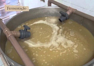 Fermentação 
 