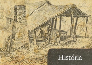 História 
 