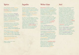 Ypióca Sagatiba Weber Haus Auri 
Somos uma marca com muita história 
pra contar. Temos orgulho de ser a mais 
tradicional marca de cachaça brasileira 
da nossa história, que se confunde com 
a história do Brasil. 
Há 167 anos aprimoramos a qualidade 
da nossa cachaça. Respeitamos o tempo da 
natureza, do envelhecimento. O tempo 
que dá o sabor especial à nossa cachaça. 
O tempo e o talento das nossas artesãs, que 
esculpem a nossa tradicional garrafa de palha. 
O tempo de cultivar tudo com carinho, 
dedicação e responsabilidade. 
Acompanhamos, de perto, o Brasil crescer 
e se desenvolver. Somos parte dessa evolução 
e por isso falamos, com muito orgulho, 
que somos um símbolo da cultura 
brasileira. Cultura essa que merece ser 
valorizada e celebrada.VAMOS BRASILIZAR! 
Vamos celebrar o saber viver brasileiro 
e ser mais quem nós somos: espontâneos, 
alegres, amigos de verdade. Vamos celebrar 
quem sabe aproveitar bem o tempo, quem 
assume a delícia de ser o que é: BRASILEIRO! 
Vamos aproveitar mais o que é nosso: 
nossas raízes, nossa cultura, nossos 
lugares, nossa bebida oficial: 
A CACHAÇA. 
Ypióca: A cachaça com o tempo 
e o sabor do brasil. 
A história da Sagatiba é uma história 
de paixão, de ir além dos limites do que 
é possível. “Menina dos olhos” do empresário 
Marcos de Moraes, a Sagatiba representa sua 
paixão pelo Brasil, o Brasil de ontem 
e de hoje. Marcos queria levar o sabor do 
seu país para o mundo e ultrapassar a 
fronteira do possível com a aguardente 
nacional – a cachaça. 
Em 2010, essa jornada chegou a uma nova 
etapa com a união entre Sagatiba e o Gruppo 
Campari. Hoje, com os conhecimentos 
e a estrutura de um grupo internacional, 
o sabor de Sagatiba transcende as fronteiras 
do Brasil. Desde o seu nascimento, 
Sagatiba prova que sabor e pureza não são 
contraditórios. Sua base na tradição, 
aliada à busca contínua por algo diferente, 
levou a cachaça a um novo patamar que 
explora todas as suas possibilidades. 
Descendente de alemães, na cidade 
de Ivoti, encosta da Serra Gaúcha, interior 
do Rio Grande do Sul. Quando chegaram da 
Alemanha, seus bisavós, adquiriram terras 
nesta cidade, onde plantavam mandioca, 
da qual produziam farinha e cana-de-açúcar. 
A família deu início a fabricação de cachaça 
em 1848, para consumo próprio. 
O alambique foi construído em 1948 
e consistia em um galpão com um engenho 
no meio, movimentado por quatro mulas. 
Com o tempo foram se modernizando. 
O negócio acabou passando de pais para 
filhos. Foi esta união, de familiares, 
contribuiu para longevidade do 
empreendimento. 
Usando o processo manual, desde a 
escolha do tipo correto de cana-de-açucar, 
que se adaptou ao solo da região, até o corte 
manual. Assim, como também o tratamento 
ecologicamente correto dado ao canavial. 
A agroindústria hoje com 35 premiações 
como a cachaça mais premiada do Brasil 
e com duas certificações importante como 
orgânica e rastreabilidade (Inmetro) de 
toda a sua produção e foi uma das primeiras 
agroindústria a receber o sela da agricultura 
familiar do Brasil Produtos produzidos 
pela agroindústria cachaça e licores sucos 
de uva e açúcar mascavo. 
Weber é o nome da tradicional família 
produtora de cachaça localizada em Ivoti - 
Rio Grande do Sul. O número 48 
é emblemático para a família. 48 é 
o número do lote que coube a família 
Weber quando chegaram ao Brasil. 
Nome que remonta a influência da Coroa 
Portuguesa no período do Império. 
A origem do nome Orleans surgiu a partir 
do casamento da Princesa Isabel Cristina 
Leopoldina Michaela Gabriela Gonzaga de 
Bragança e o Conde D'EU, ocorrido em 15 
de outubro de 1864. Com essa união, ficou 
determinado pelo imperador D.Pedro II 
e a Imperatriz Tereza Cristina, um dote de 
terra de 98 léguas, sendo escolhido como 
um dos locais o atual município de Orleans, 
nome dado pelo Conde em homenagem 
a sua própria família pertencente à nobreza 
da França. É nesta cidade que esta localizada 
a Fazenda Orleans, há anos produtora 
de cana de açúcar, na qual está instalado 
o tradicional alambique utilizado na 
produção das cachaças AURI. 
Elaborada artesanalmente com destilador 
de cobre, a cachaça AURI, que significa 
a única, a melhor e a brilhante, 
utilizando apenas o coração da cana, com 
a inexistência de minerais residuais, obtendo 
assim uma qualidade superior, com 
produção limitada e respeitando sempre 
os mais rígidos padrões de qualidade. 
 