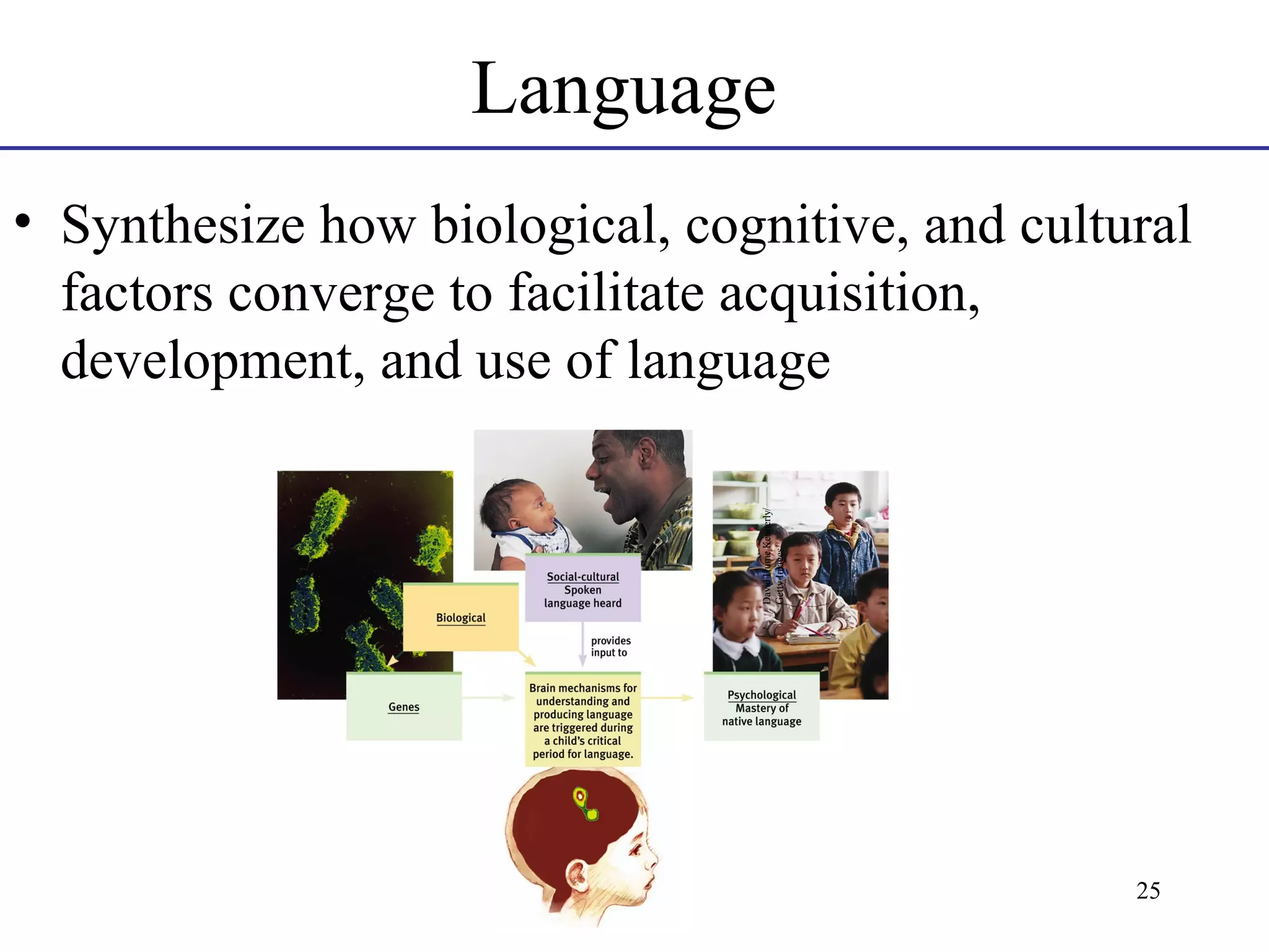 Language

David Hume Kennerly/
Getty Images

• Synthesize how biological, cognitive, and cultural
factors converge to facilitate acquisition,
development, and use of language

25

 