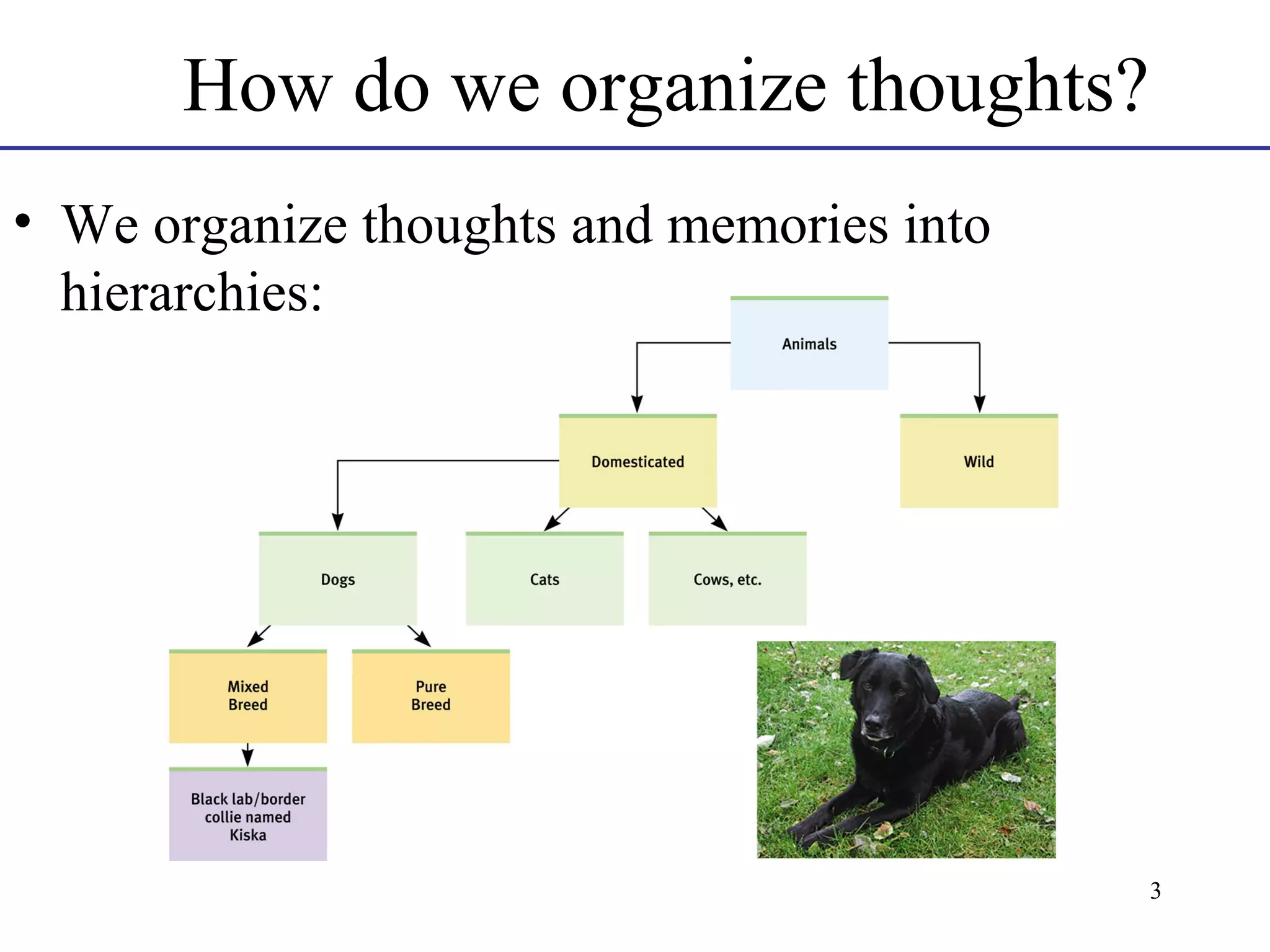 How do we organize thoughts?
• We organize thoughts and memories into
hierarchies:

3

 