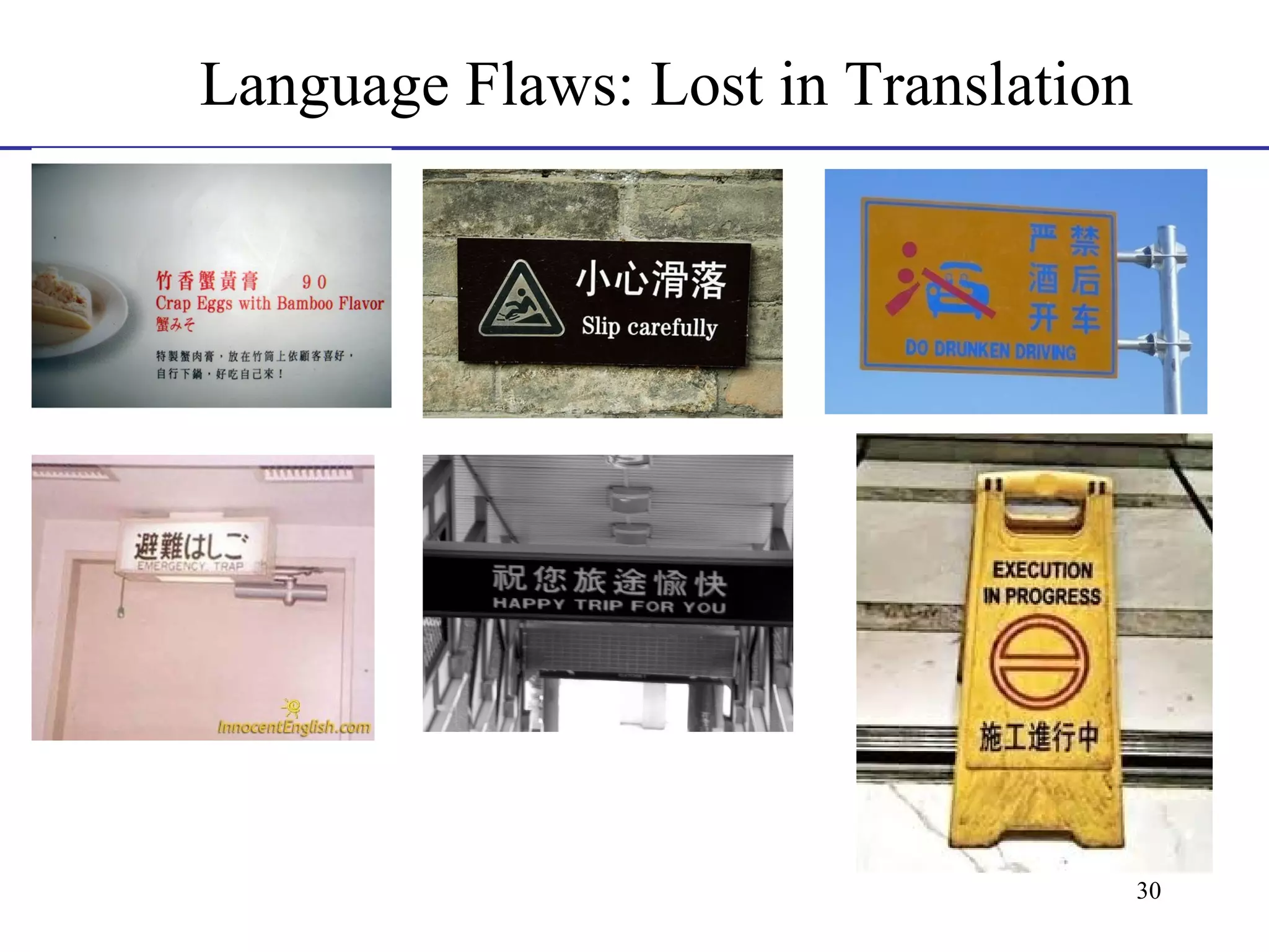 Language Flaws: Lost in Translation

30

 