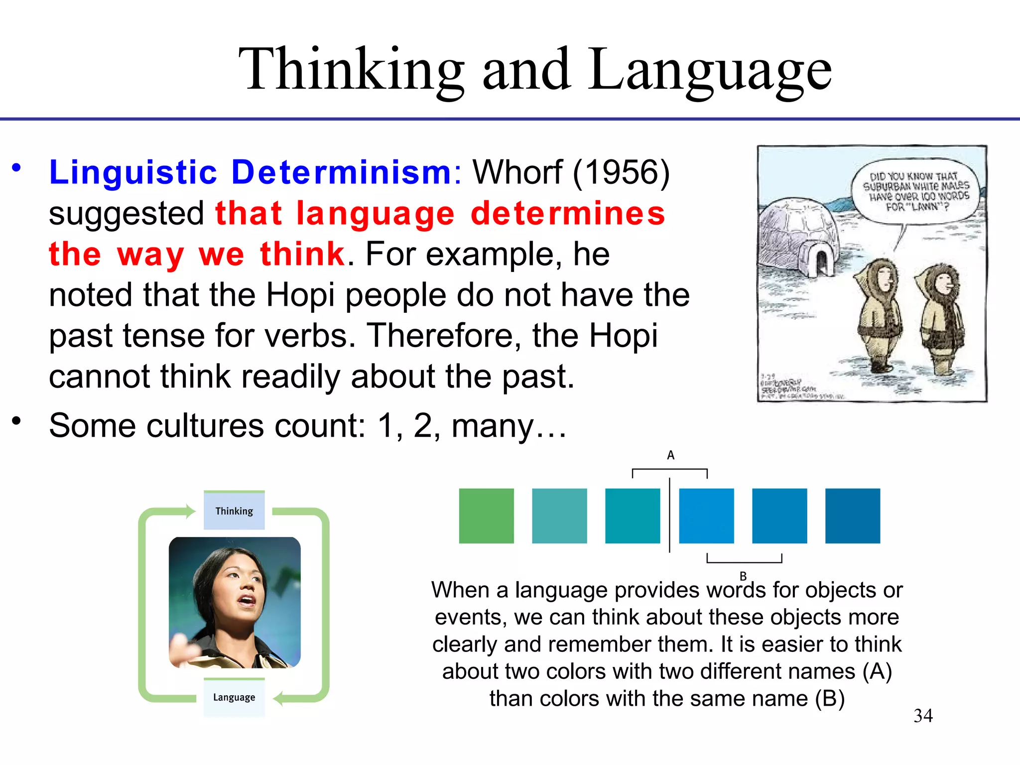 Thinking and Language
• Linguistic Determinism: Whorf (1956)
suggested that language determines
the way we think. For example, he
noted that the Hopi people do not have the
past tense for verbs. Therefore, the Hopi
cannot think readily about the past.
• Some cultures count: 1, 2, many…

When a language provides words for objects or
events, we can think about these objects more
clearly and remember them. It is easier to think
about two colors with two different names (A)
than colors with the same name (B)

34

 