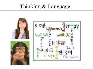 Thinking & Language

1

 