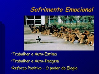 Trabalhar a Auto-Estima Trabalhar a Auto-Imagem Reforço Positivo – O poder do Elogio Sofrimento Emocional 