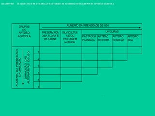 QUADRO 003 ALTERNATIVAS DE UTILIZAÇÃO DAS TERRAS DE ACORDO COM OS GRUPOS DE APTIDÃO AGRÍCOLA
AUMENTO DA INTENSIDADE DE USO
LAVOURAS
PASTAGEM
PLANTADA
APTIDÃO
RESTRITA
APTIDÃO
REGULAR
APTIDÃO
BOA
1
2
3
4
5
6
GRUPOS
DE
APTIDÃO
AGRÍCOLA
AUMENTO
DA
INTENSIDADE
DA
LIMITAÇÃO
DIMINUIÇÃO
DAS
ALTERNATIVAS
DE
USO
SILVICULTUR
A E/OU
PASTAGEM
NATURAL
PRESERVAÇÃ
O DA FLORA E
DA FAUNA
 