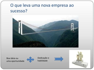 O que leva uma nova empresa ao
   sucesso?




Boa ideia ou       Dedicação e
uma oportunidade   habilidade
 