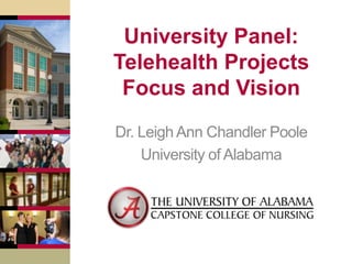 University Panel:
Telehealth Projects
Focus and Vision
Dr. Leigh Ann Chandler Poole
University of Alabama

 
