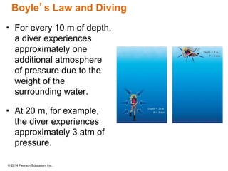 © 2014 Pearson Education, Inc.
Boyle’s Law and Diving
• For every 10 m of depth,
a diver experiences
approximately one
additional atmosphere
of pressure due to the
weight of the
surrounding water.
• At 20 m, for example,
the diver experiences
approximately 3 atm of
pressure.
 