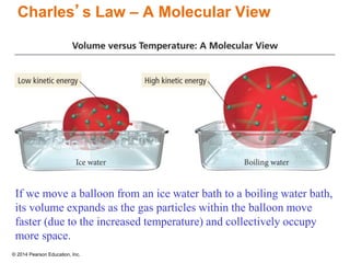 © 2014 Pearson Education, Inc.
Charles’s Law – A Molecular View
If we move a balloon from an ice water bath to a boiling water bath,
its volume expands as the gas particles within the balloon move
faster (due to the increased temperature) and collectively occupy
more space.
 