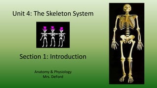 Unit 4: The Skeleton System
Section 1: Introduction
Anatomy & Physiology
Mrs. DeFord
 