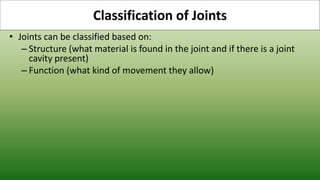 • Joints can be classified based on:
– Structure (what material is found in the joint and if there is a joint
cavity present)
– Function (what kind of movement they allow)
Classification of Joints
 