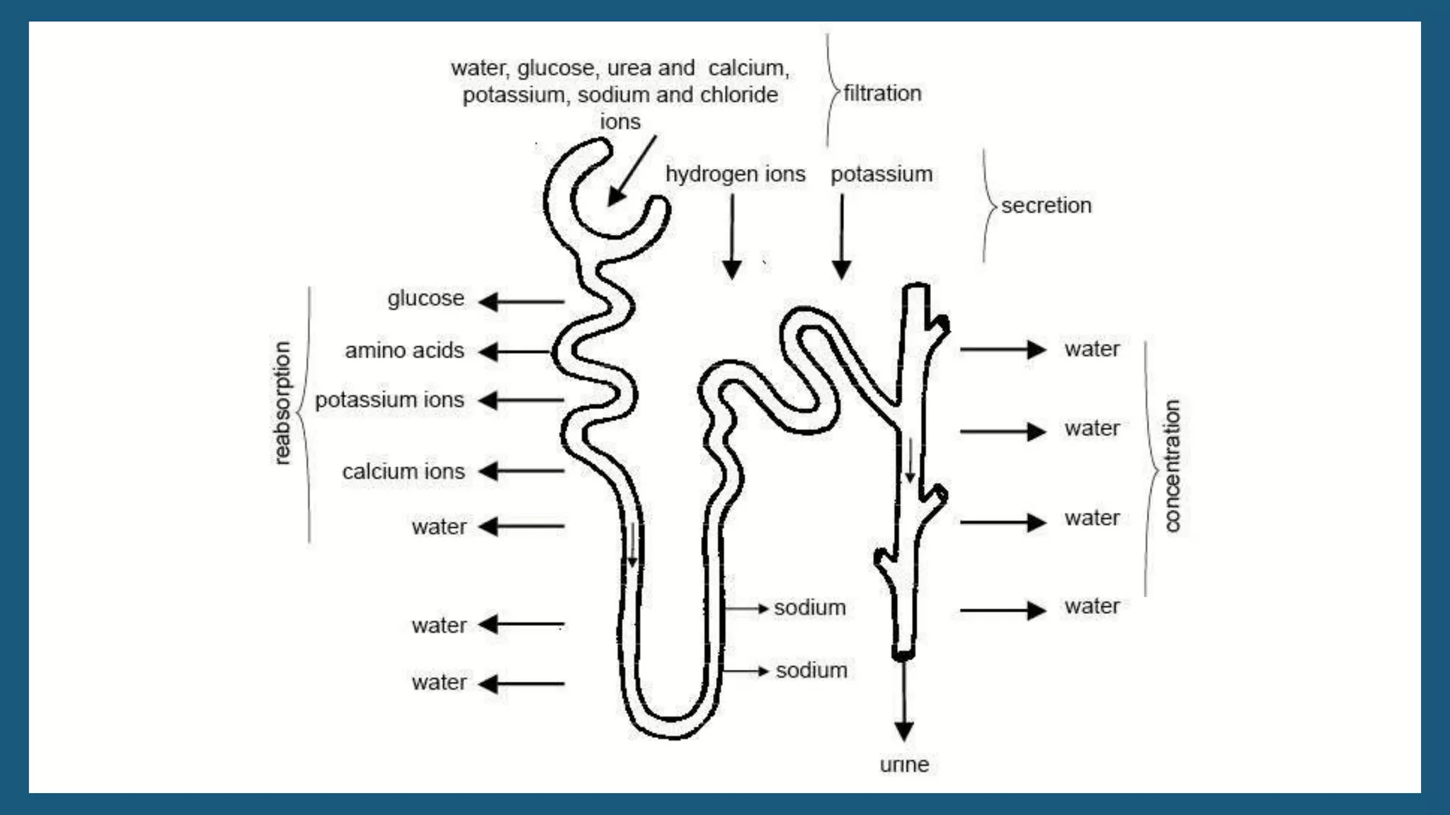 Gnature with Gnat 2016
 