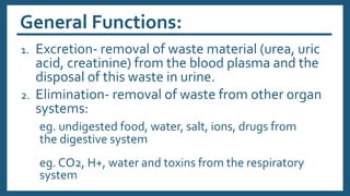General Functions:
1. Excretion- removal of waste material (urea, uric
acid, creatinine) from the blood plasma and the
disposal of this waste in urine.
2. Elimination- removal of waste from other organ
systems:
eg. undigested food, water, salt, ions, drugs from
the digestive system
eg. CO2, H+, water and toxins from the respiratory
system
 