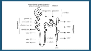 Gnature with Gnat 2016
 