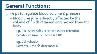 General Functions:
3. Helps to regulate blood volume & pressure
• Blood pressure is directly affected by the
volume of fluids retained or removed from the
body:
eg. excessive salts promote water retention
greater volume  increases BP
eg. dehydration
lower volume  decreases BP
 