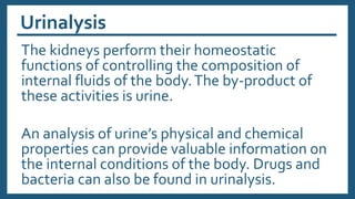 Urinalysis
The kidneys perform their homeostatic
functions of controlling the composition of
internal fluids of the body.The by-product of
these activities is urine.
An analysis of urine’s physical and chemical
properties can provide valuable information on
the internal conditions of the body. Drugs and
bacteria can also be found in urinalysis.
 