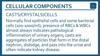 CELLULAR COMPONENTS
CASTS/CRYSTALS/CELLS
Normally find epithelial cells and some bacterial
cells (100-1000/ml); presence of RBCs &WBCs
almost always indicates pathological
inflammation of urinary organs; casts are
aggregates of particles that form in the distal
nephron, dislodge, and pass into the urine and
often indicate kidney disease.
10
 