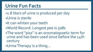 Urine Fun Facts
•1.8 liters of urine is produced per day
•Urine is sterile
•It can whiten your teeth
•World Record: Longest pee is 508s
•The word “piss” is an onomatopoetic term for
urine and has been used since before the 14th
century
•UrineTherapy is a thing…
 