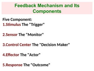 Comprehensive Overview of Homeostasis and Feedback Mechanisms in Human ...