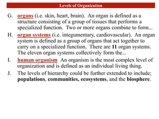 Levels of Organization
G. organs (i.e. skin, heart, brain). An organ is defined as a
structure consisting of a group of tissues that performs a
specialized function. Two or more organs combine to form...
H. organ systems (i.e. integumentary, cardiovascular). An organ
system is defined as a group of organs that act together to
carry on a specialized function. There are 11 organ systems.
The eleven organ systems collectively form the...
I. human organism An organism is the most complex level of
organization and is defined as an individual living thing.
J. The levels of hierarchy could be further extended to include;
populations, communities, ecosystems, and the biosphere.
 