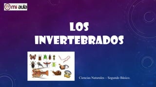 Los
invertebrados
Ciencias Naturales – Segundo Básico.
 