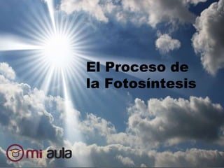 El Proceso de
la Fotosíntesis
 