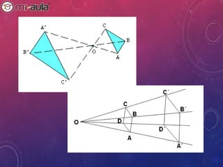 Comprehensive Guide to Cartesian Plane and Homothety Transformations | PPT