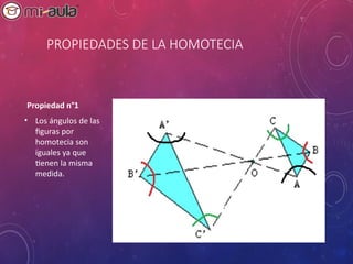 Comprehensive Guide to Cartesian Plane and Homothety Transformations | PPT