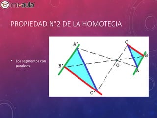 Comprehensive Guide to Cartesian Plane and Homothety Transformations | PPT