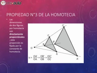 Comprehensive Guide to Cartesian Plane and Homothety Transformations | PPT
