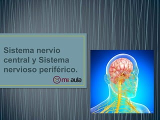 Sistema nervio
central y Sistema
nervioso periférico.
 