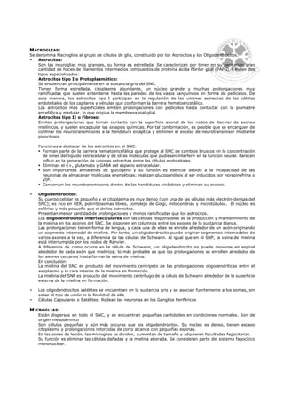 MACROGLIAS:
Se denomina Macroglias al grupo de células de glia, constituido por los Astrocitos y los Oligodendrocitos.
-   Astrocitos:
    Son las neuroglias más grandes, su forma es estrellada. Se caracterizan por tener en su pericarion gran
    cantidad de haces de filamentos intermedios compuestos de proteína ácida fibrilar glial (PAFG). Existen dos
    tipos especializados:
    Astrocitos tipo I o Protoplasmático:
    Se encuentran principalmente en la sustancia gris del SNC.
    Tienen forma estrellada, citoplasma abundante, un núcleo grande y muchas prolongaciones muy
    ramificadas que suelen extenderse hasta las paredes de los vasos sanguíneos en forma de pedicelos. De
    esta manera, los astrocitos tipo I participan en la regulación de las uniones estrechas de las células
    endoteliales de los capilares y vénulas que conforman la barrera hematoencefálica.
    Los astrocitos más superficiales emiten prolongaciones con pedicelos hasta contactar con la piamadre
    encefálica y medular, lo que origina la membrana pial-glial.
    Astrocitos tipo II o Fibroso:
    Emiten prolongaciones que toman contacto con la superficie axonal de los nodos de Ranvier de axones
    mielínicos, y suelen encapsular las sinapsis químicas. Por tal conformación, es posible que se encarguen de
    confinar los neurotransmisores a la hendidura sináptica y eliminen el exceso de neurotransmisor mediante
    pinocitosis.

    Funciones a destacar de los astrocitos en el SNC:
      Forman parte de la barrera hematoencefálica que protege al SNC de cambios bruscos en la concentración
      de iones del líquido extracelular y de otras moléculas que pudiesen interferir en la función neural. Parecen
      influir en la generación de uniones estrechas entre las células endoteliales.
      Eliminan el K+, glutamato y GABA del espacio extracelular.
      Son importantes almacenes de glucógeno y su función es esencial debido a la incapacidad de las
      neuronas de almacenar moléculas energéticas; realizan glucogenólisis al ser inducidos por norepinefrina o
      VIP.
      Conservan los neurotransmisores dentro de las hendiduras sinápticas y eliminan su exceso.

-   Oligodendrocitos:
    Su cuerpo celular es pequeño y el citoplasma es muy denso (son una de las células más electrón-densas del
    SNC); es rico en RER, polirribosomas libres, complejo de Golgi, mitocondrias y microtúbulos. El núcleo es
    esférico y más pequeño que el de los astrocitos.
    Presentan menor cantidad de prolongaciones y menos ramificadas que los astrocitos.
    Los oligodendrocitos interfasciculares son las células responsables de la producción y mantenimiento de
    la mielina en los axones del SNC. Se disponen en columnas entre los axones de la sustancia blanca.
    Las prolongaciones tienen forma de lengua, y cada una de ellas se enrolla alrededor de un axón originando
    un segmento internodal de mielina. Por tanto, un oligodendrocito puede originar segmentos internodales de
    varios axones a la vez, a diferencia de las células de Schwann. Al igual que en el SNP, la vaina de mielina
    está interrumpida por los nodos de Ranvier.
    A diferencia de como ocurre en la célula de Schwann, un oligodendrocito no puede moverse en espiral
    alrededor de cada axón que mieliniza; lo más probable es que las prolongaciones se enrollen alrededor de
    los axones cercanos hasta formar la vaina de mielina.
    En conclusión:
    La mielina del SNC es producto del movimiento centrípeto de las prolongaciones oligodendríticas entre el
    axoplasma y la cara interna de la mielina en formación.
    La mielina del SNP es producto del movimiento centrífugo de la célula de Schwann alrededor de la superficie
    externa de la mielina en formación.

-   Los oligodendrocitos satélites se encuentran en la sustancia gris y se asocian fuertemente a los somas, sin
    saber el tipo de unión ni la finalidad de ella.
-   Células Capsulares o Satélites: Rodean las neuronas en los Ganglios Periféricos

MICROGLIAS:
    Están dispersas en todo el SNC, y se encuentran pequeñas cantidades en condiciones normales. Son de
    origen mesodérmico
    Son células pequeñas y aún más oscuras que los oligodendrocitos. Su núcleo es denso, tienen escaso
    citoplasma y prolongaciones retorcidas de corto alcance con pequeñas espinas.
    En las zonas de lesión, las microglias se dividen, aumentan de tamaño y adquieren facultades fagocitarias.
    Su función es eliminar las células dañadas y la mielina alterada. Se consideran parte del sistema fagocítico
    mononuclear.
 