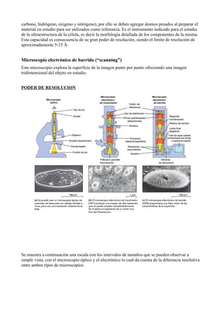carbono, hidrógeno, oxígeno y nitrógeno), por ello se deben agregar átomos pesados al preparar el
material en estudio para ser utilizados como referencia. Es el instrumento indicado para el estudio
de la ultraestructura de la célula, es decir la morfología detallada de los componentes de la misma.
Esta capacidad es consecuencia de su gran poder de resolución, siendo el límite de resolución de
aproximadamente 5-15 Å.
Microscopio electrónico de barrido (“scanning”)
Este microscopio explora la superficie de la imagen punto por punto ofreciendo una imagen
tridimensional del objeto en estudio.
PODER DE RESOLUCION
Se muestra a continuación una escala con los intervalos de tamaños que se pueden observar a
simple vista, con el microscopio óptico y el electrónico lo cual da cuenta de la diferencia resolutiva
entre ambos tipos de microscopios
 