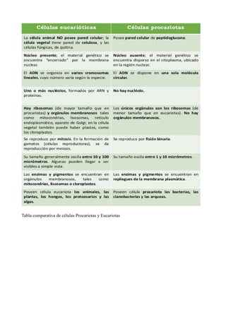 Tabla comparativa de células Procariotas y Eucariotas
 