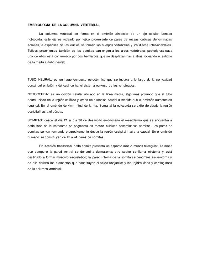 cadenas musculares word word de cadenas musculares cadenas musculares word word de cadenas musculares
