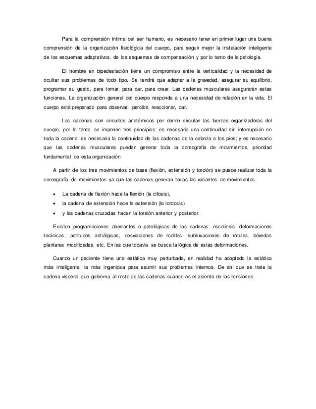 cadenas musculares word word de cadenas musculares cadenas musculares word word de cadenas musculares