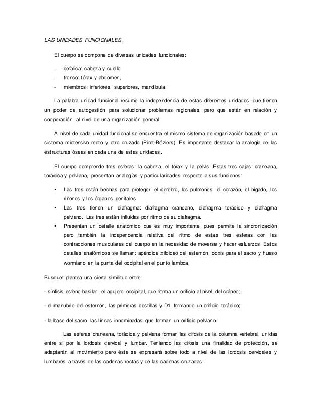 cadenas musculares word word de cadenas musculares cadenas musculares word word de cadenas musculares