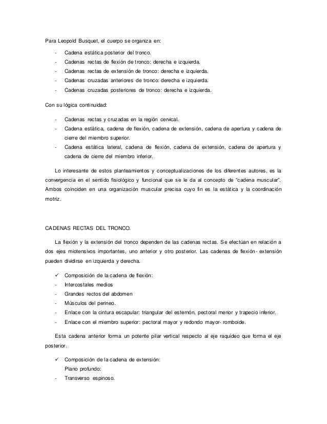 cadenas musculares word word de cadenas musculares cadenas musculares word word de cadenas musculares