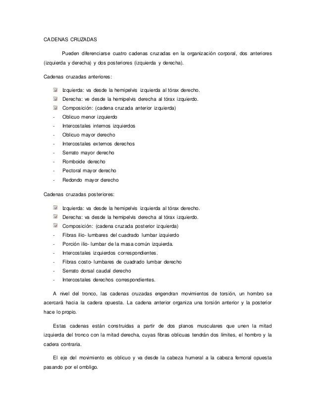 cadenas musculares word word de cadenas musculares cadenas musculares word word de cadenas musculares