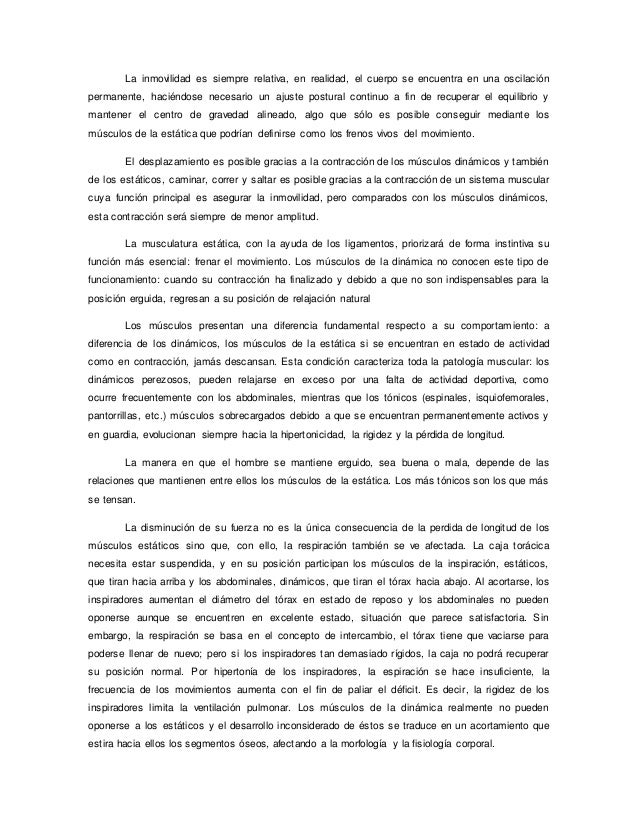 cadenas musculares word word de cadenas musculares cadenas musculares word word de cadenas musculares