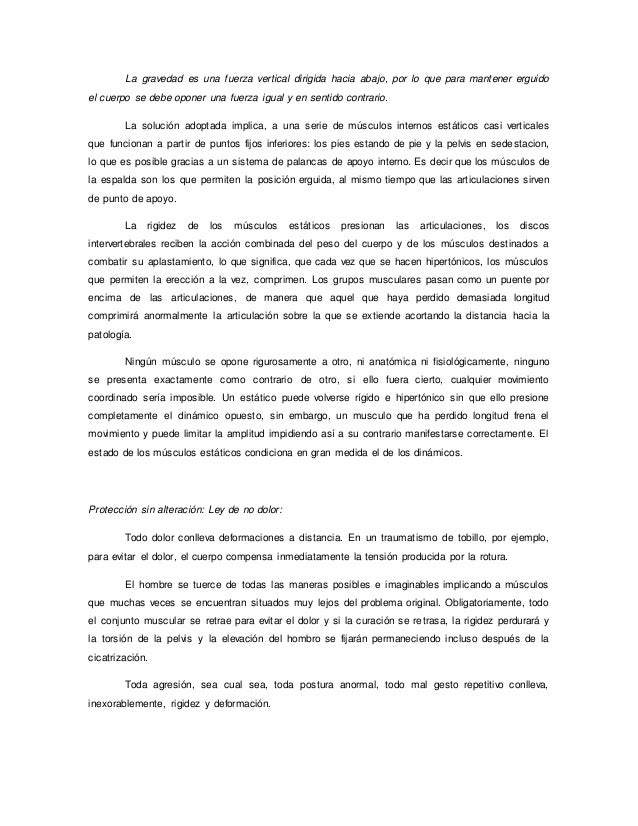cadenas musculares word word de cadenas musculares cadenas musculares word word de cadenas musculares