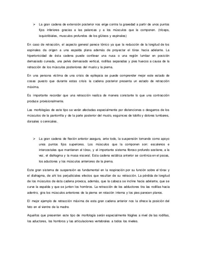 cadenas musculares word word de cadenas musculares cadenas musculares word word de cadenas musculares