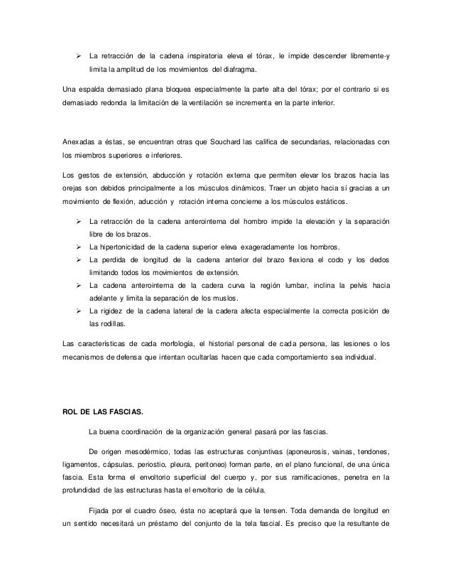 cadenas musculares word word de cadenas musculares cadenas musculares word word de cadenas musculares