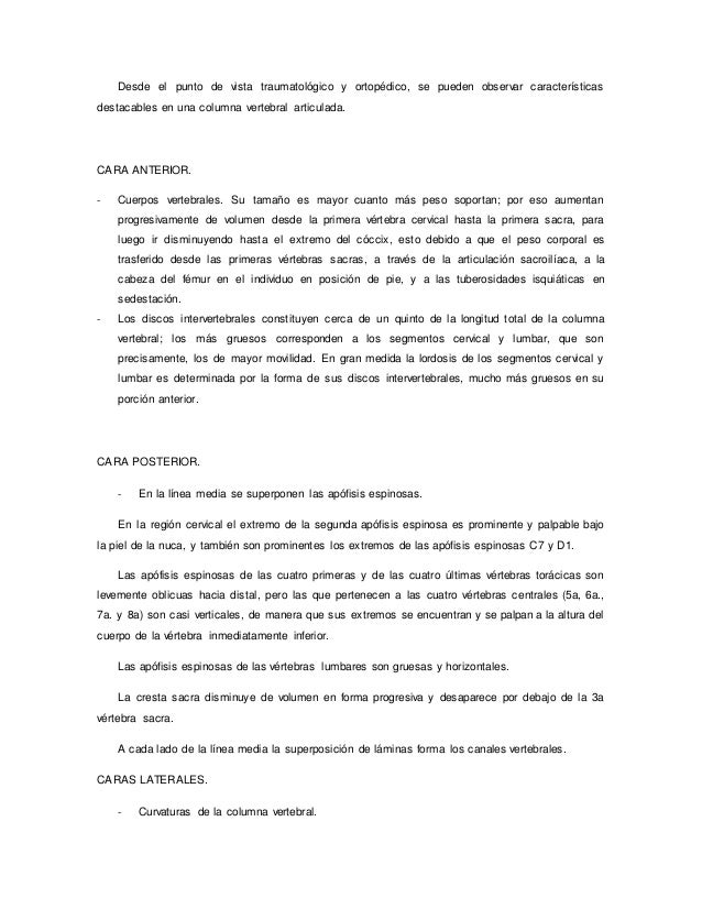 cadenas musculares word word de cadenas musculares cadenas musculares word word de cadenas musculares