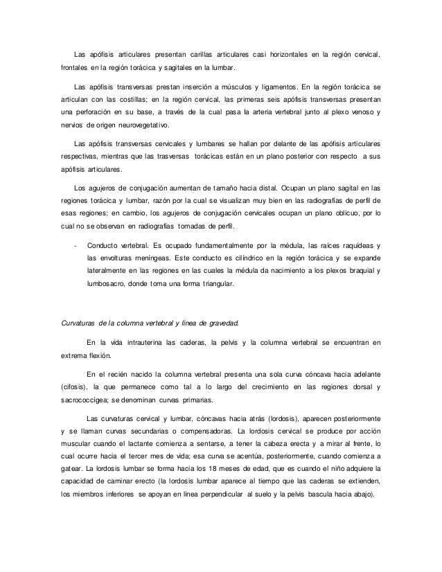 cadenas musculares word word de cadenas musculares cadenas musculares word word de cadenas musculares