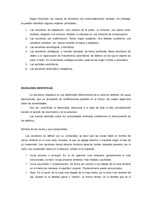 cadenas musculares word word de cadenas musculares cadenas musculares word word de cadenas musculares