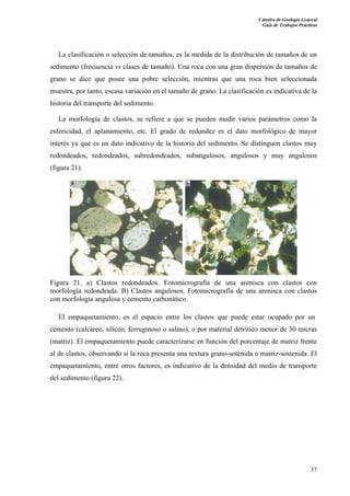 Cátedra de Geología General
Guía de Trabajos Prácticos

La clasificación o selección de tamaños, es la medida de la distribución de tamaños de un
sedimento (frecuencia vs clases de tamaño). Una roca con una gran dispersión de tamaños de
grano se dice que posee una pobre selección, mientras que una roca bien seleccionada
muestra, por tanto, escasa variación en el tamaño de grano. La clasificación es indicativa de la
historia del transporte del sedimento.
La morfología de clastos, se refiere a que se pueden medir varios parámetros como la
esfericidad, el aplanamiento, etc. El grado de redondez es el dato morfológico de mayor
interés ya que es un dato indicativo de la historia del sedimento. Se distinguen clastos muy
redondeados, redondeados, subredondeados, subangulosos, angulosos y muy angulosos
(figura 21).

Figura 21. a) Clastos redondeados. Fotomicrografía de una arenisca con clastos con
morfología redondeada. B) Clastos angulosos. Fotomicrografía de una arenisca con clastos
con morfología angulosa y cemento carbonático.
El empaquetamiento, es el espacio entre los clastos que puede estar ocupado por un
cemento (calcáreo, silíceo, ferruginoso o salino), o por material detrítico menor de 30 micras
(matriz). El empaquetamiento puede caracterizarse en función del porcentaje de matriz frente
al de clastos, observando si la roca presenta una textura grano-sotenida o matriz-sostenida. El
empaquetamiento, entre otros factores, es indicativo de la densidad del medio de transporte
del sedimento (figura 22).

57

 