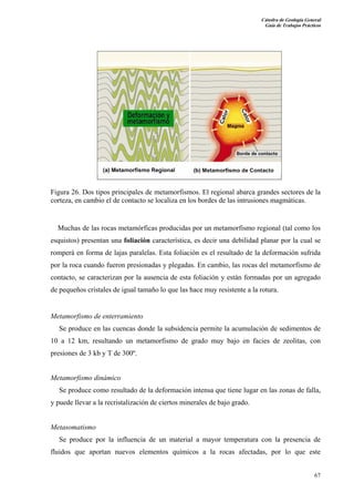Cátedra de Geología General
Guía de Trabajos Prácticos

Figura 26. Dos tipos principales de metamorfismos. El regional abarca grandes sectores de la
corteza, en cambio el de contacto se localiza en los bordes de las intrusiones magmáticas.

Muchas de las rocas metamórficas producidas por un metamorfismo regional (tal como los
esquistos) presentan una foliación característica, es decir una debilidad planar por la cual se
romperá en forma de lajas paralelas. Esta foliación es el resultado de la deformación sufrida
por la roca cuando fueron presionadas y plegadas. En cambio, las rocas del metamorfismo de
contacto, se caracterizan por la ausencia de esta foliación y están formadas por un agregado
de pequeños cristales de igual tamaño lo que las hace muy resistente a la rotura.

Metamorfismo de enterramiento
Se produce en las cuencas donde la subsidencia permite la acumulación de sedimentos de
10 a 12 km, resultando un metamorfismo de grado muy bajo en facies de zeolitas, con
presiones de 3 kb y T de 300º.

Metamorfismo dinámico
Se produce como resultado de la deformación intensa que tiene lugar en las zonas de falla,
y puede llevar a la recristalización de ciertos minerales de bajo grado.

Metasomatismo
Se produce por la influencia de un material a mayor temperatura con la presencia de
fluidos que aportan nuevos elementos químicos a la rocas afectadas, por lo que este
67

 