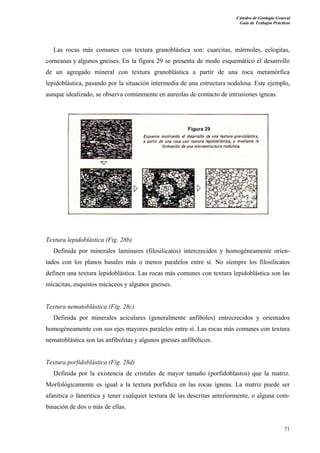 Cátedra de Geología General
Guía de Trabajos Prácticos

Las rocas más comunes con textura granoblástica son: cuarcitas, mármoles, eclogitas,
corneanas y algunos gneises. En la figura 29 se presenta de modo esquemático el desarrollo
de un agregado mineral con textura granoblástica a partir de una roca metamórfica
lepidoblástica, pasando por la situación intermedia de una estructura nodulosa. Este ejemplo,
aunque idealizado, se observa comúnmente en aureolas de contacto de intrusiones ígneas.

Textura lepidoblástica (Fig. 28b)
Definida por minerales laminares (filosilicatos) intercrecidos y homogéneamente orientados con los planos basales más o menos paralelos entre sí. No siempre los filosílicatos
definen una textura lepidoblástica. Las rocas más comunes con textura lepidoblástica son las
micacitas, esquistos micáceos y algunos gneises.

Textura nematoblástica (Fig. 28c)
Definida por minerales aciculares (generalmente anfiboles) entrecrecidos y orientados
homogéneamente con sus ejes mayores paralelos entre sí. Las rocas más comunes con textura
nematoblástica son las anfibolitas y algunos gneises anfibólicos.

Textura porfidoblástica (Fig. 28d)
Definida por la existencia de cristales de mayor tamaño (porfidoblastos) que la matriz.
Morfológicamente es igual a la textura porfidica en las rocas ígneas. La matriz puede ser
afanitica o fanerítica y tener cualquier textura de las descritas anteriormente, o alguna combinación de dos o más de ellas.

71

 